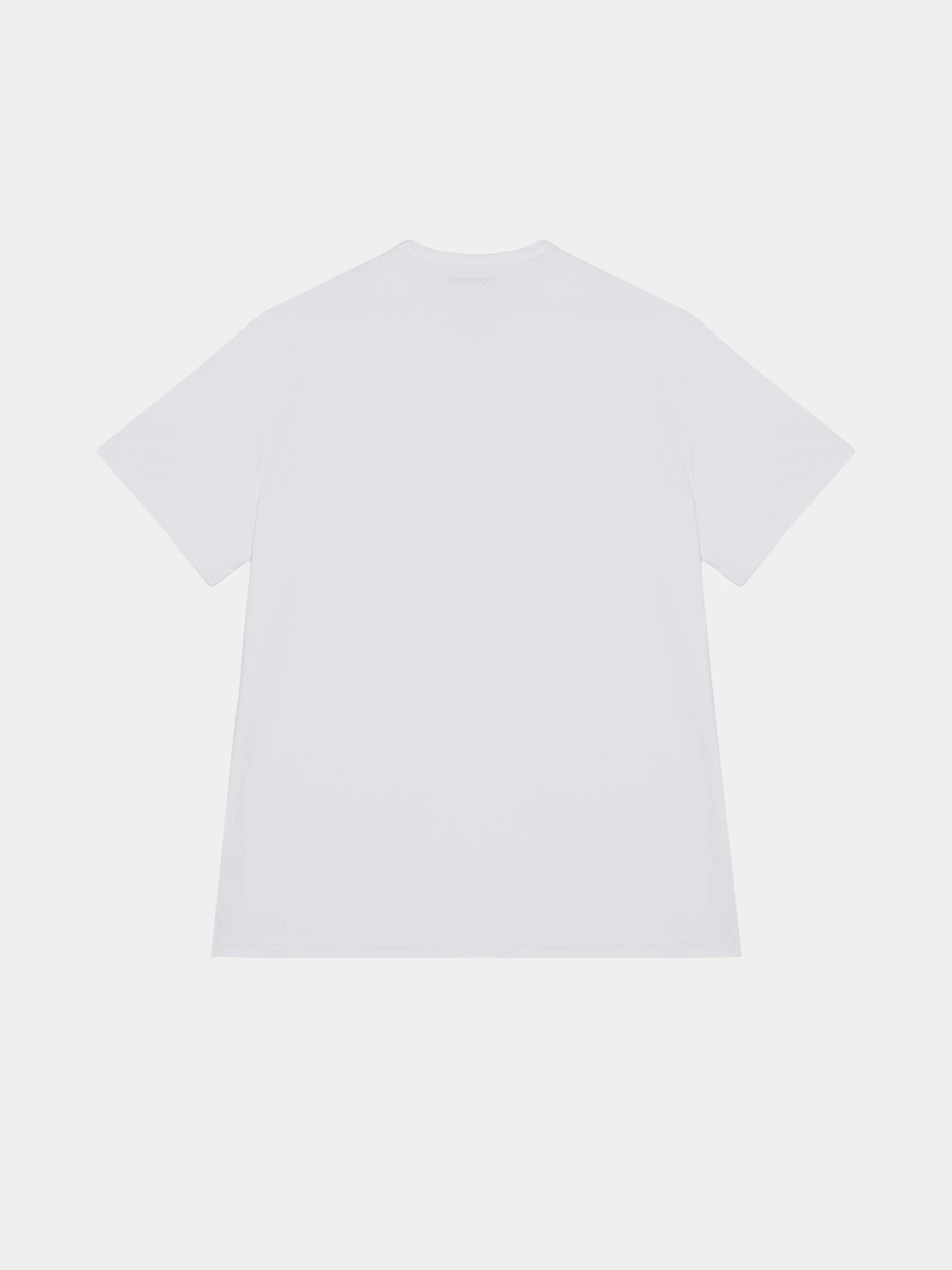 Футболки и поло Emporio Armani модель EM000391-AF14987-MC045 Футболки и поло Emporio Armani модель EM000391-AF14987-MC045 Фото