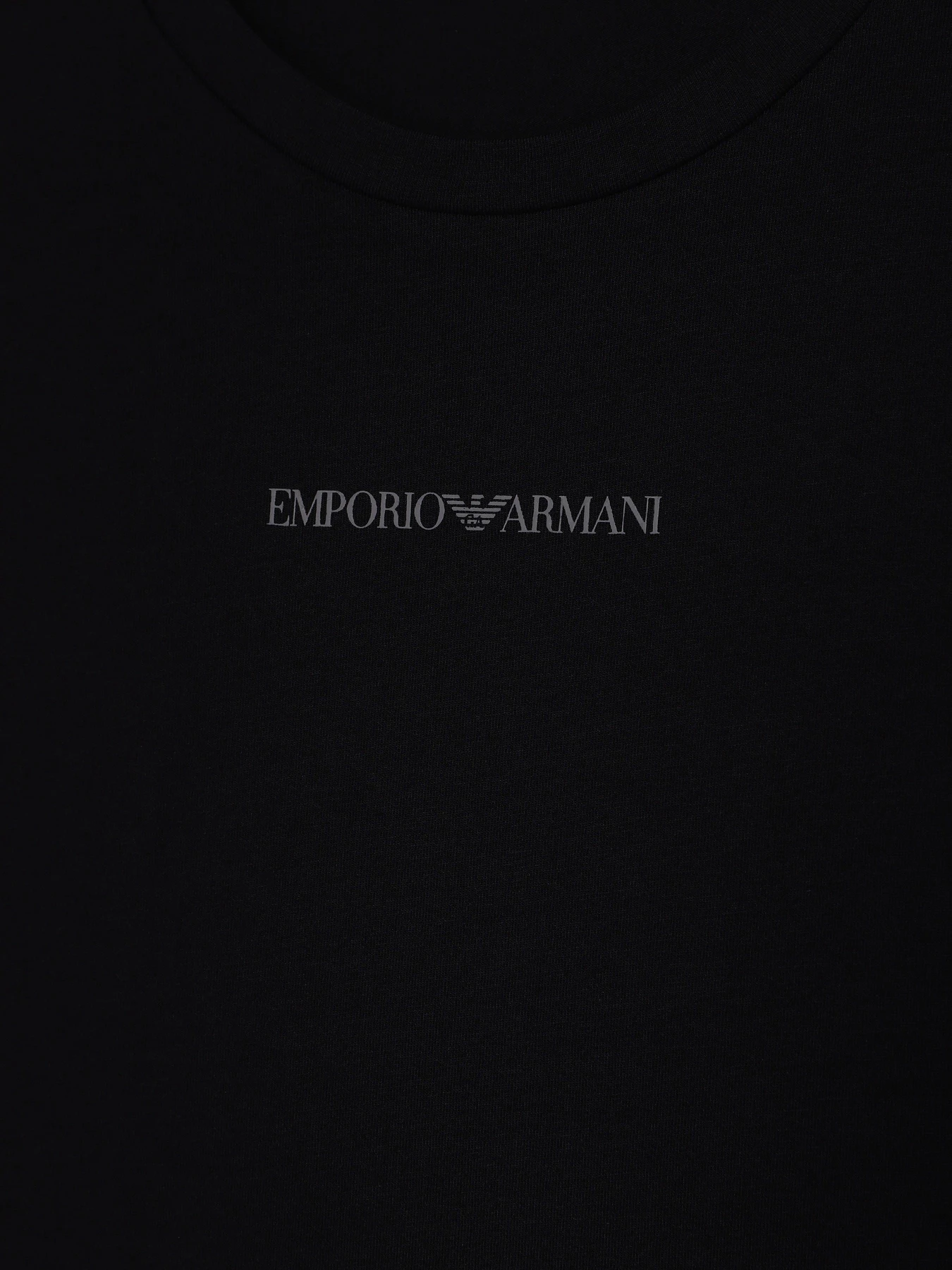 Футболки и поло Emporio Armani модель EM000391-AF16115-MC005 Футболки и поло Emporio Armani модель EM000391-AF16115-MC005 Фото