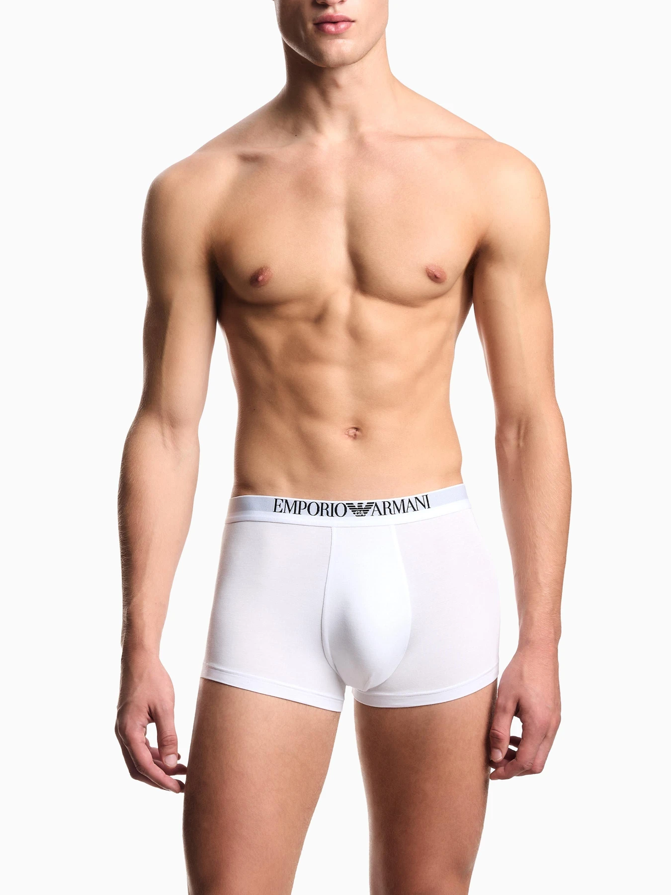 Нижнее белье Emporio Armani модель EM000253-AF14134-M0082 Нижнее белье Emporio Armani модель EM000253-AF14134-M0082 Фото