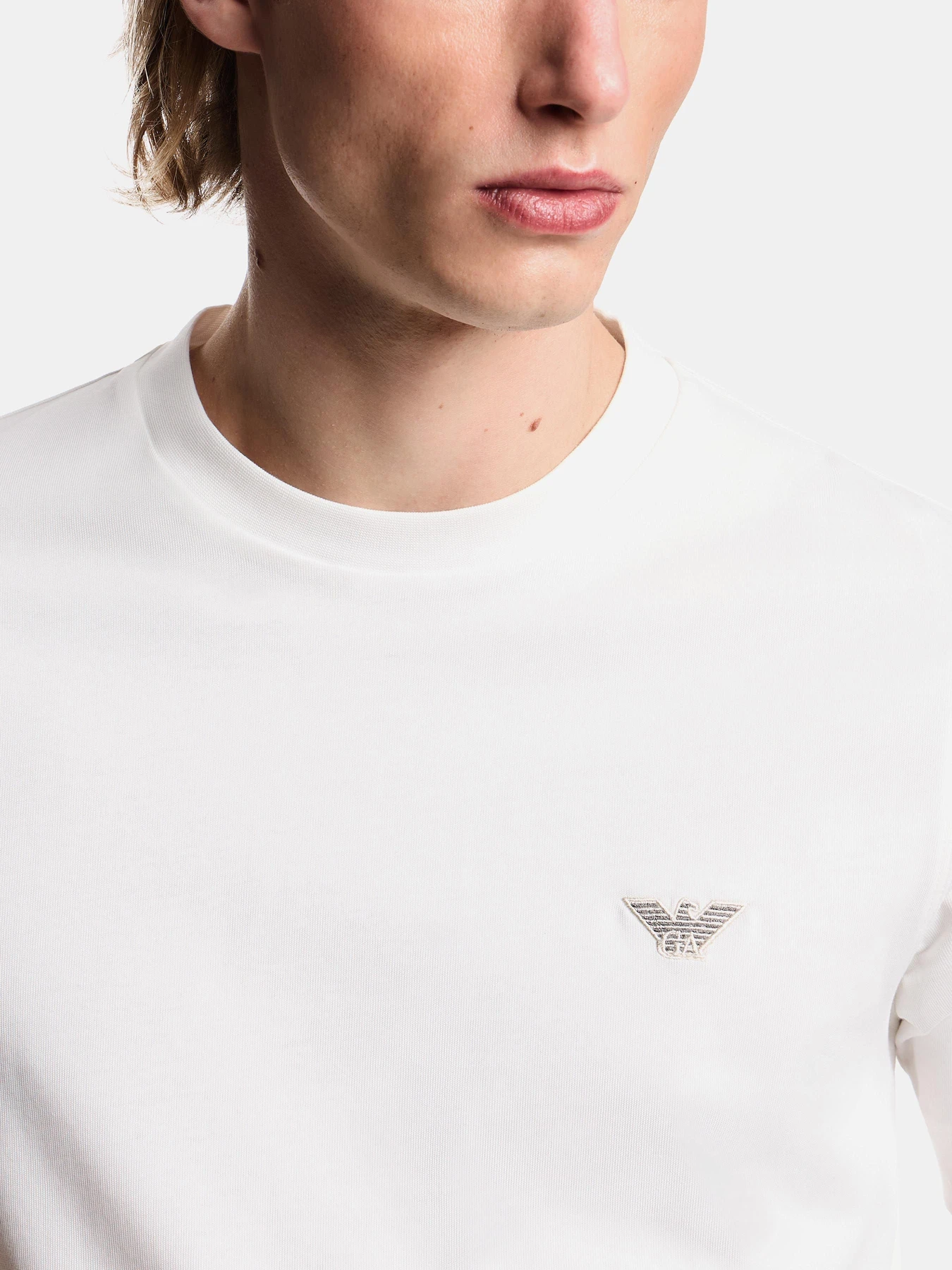 Футболки и поло Emporio Armani модель EM005396-AF13715-U0003 Футболки и поло Emporio Armani модель EM005396-AF13715-U0003 Фото