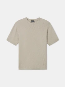 Футболки и поло Emporio Armani модель EM004311-AF24576-U6161 Фото