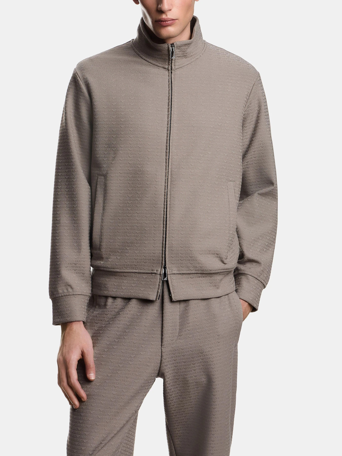 Худи и свитшоты Emporio Armani модель EM004534-AF13700-F8219 Худи и свитшоты Emporio Armani модель EM004534-AF13700-F8219 Фото