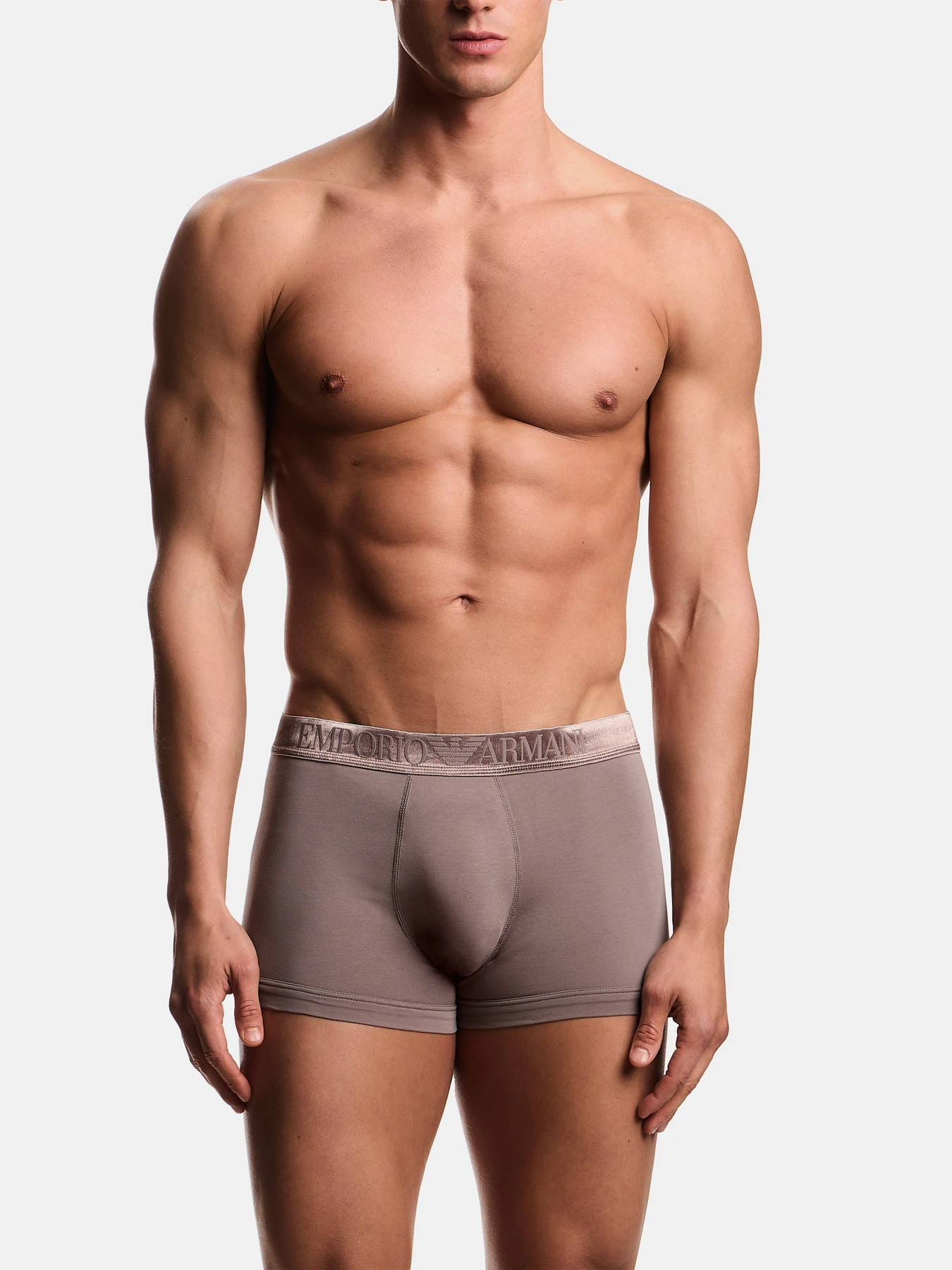 Нижнее белье Emporio Armani модель EM000259-AF18886-M6198 Нижнее белье Emporio Armani модель EM000259-AF18886-M6198 Фото