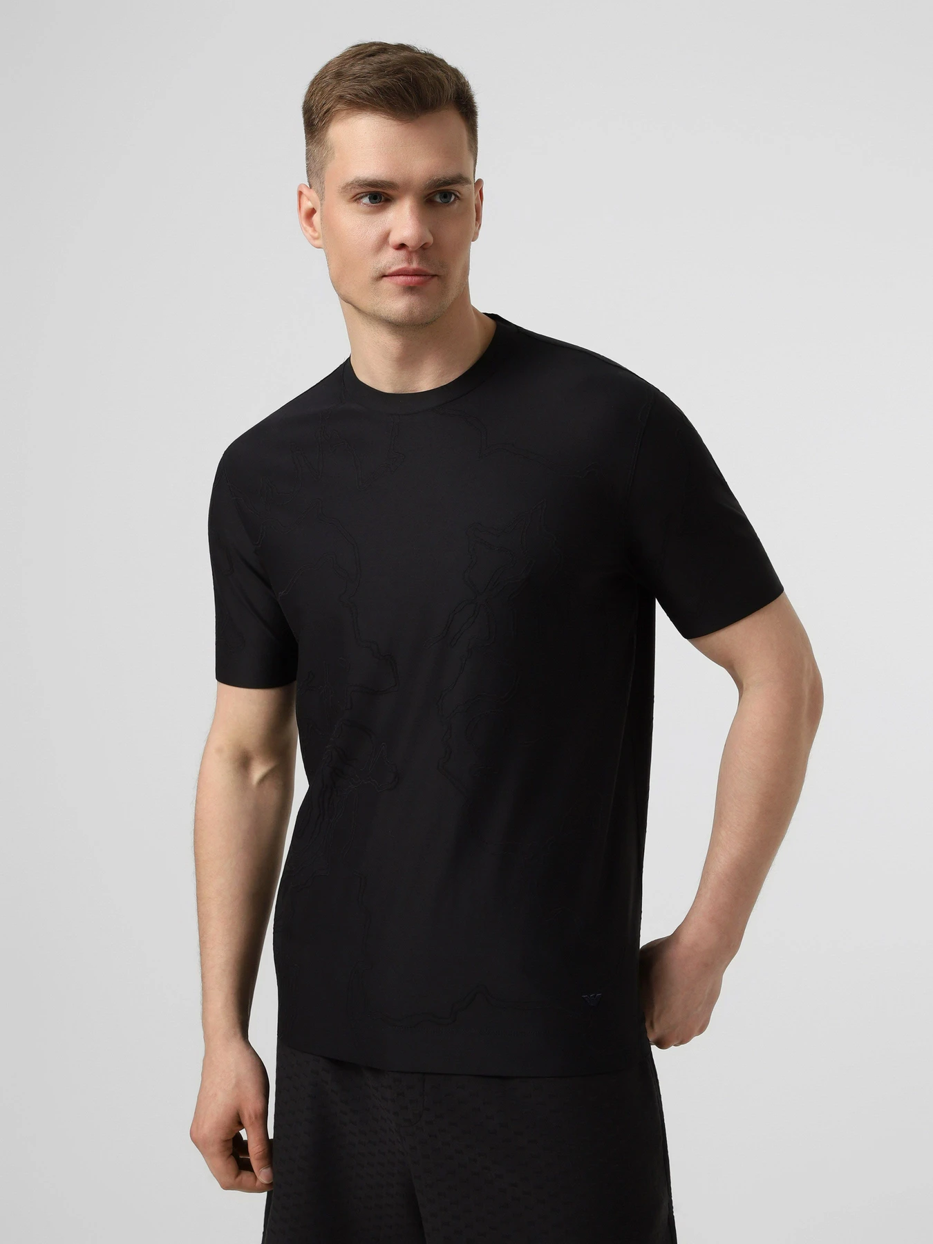 Футболки и поло Emporio Armani модель EM004644-AF23458-FB480 Футболки и поло Emporio Armani модель EM004644-AF23458-FB480 Фото