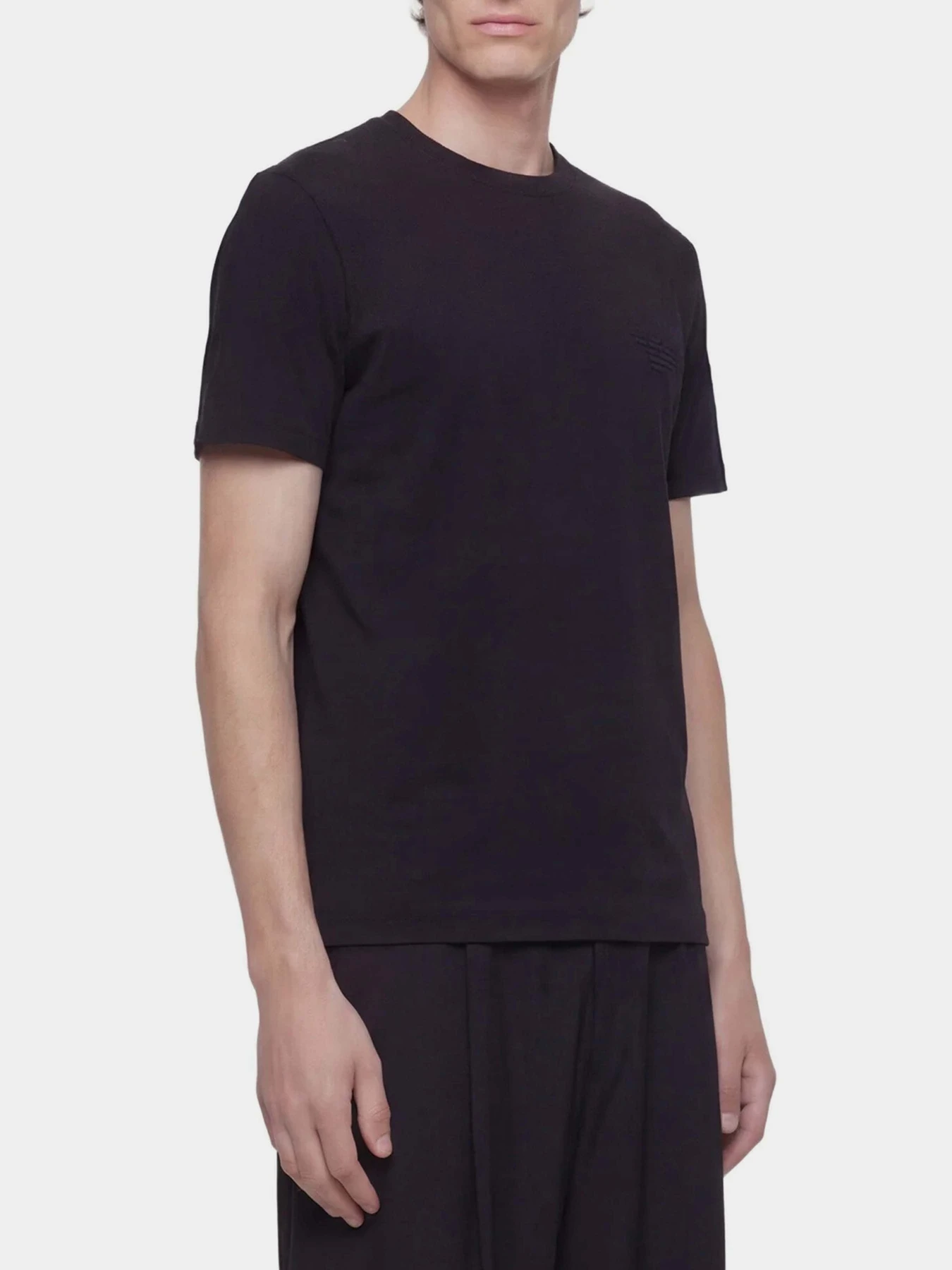 Футболки и поло Emporio Armani модель EM004911-AF13715-MC633 Футболки и поло Emporio Armani модель EM004911-AF13715-MC633 Фото