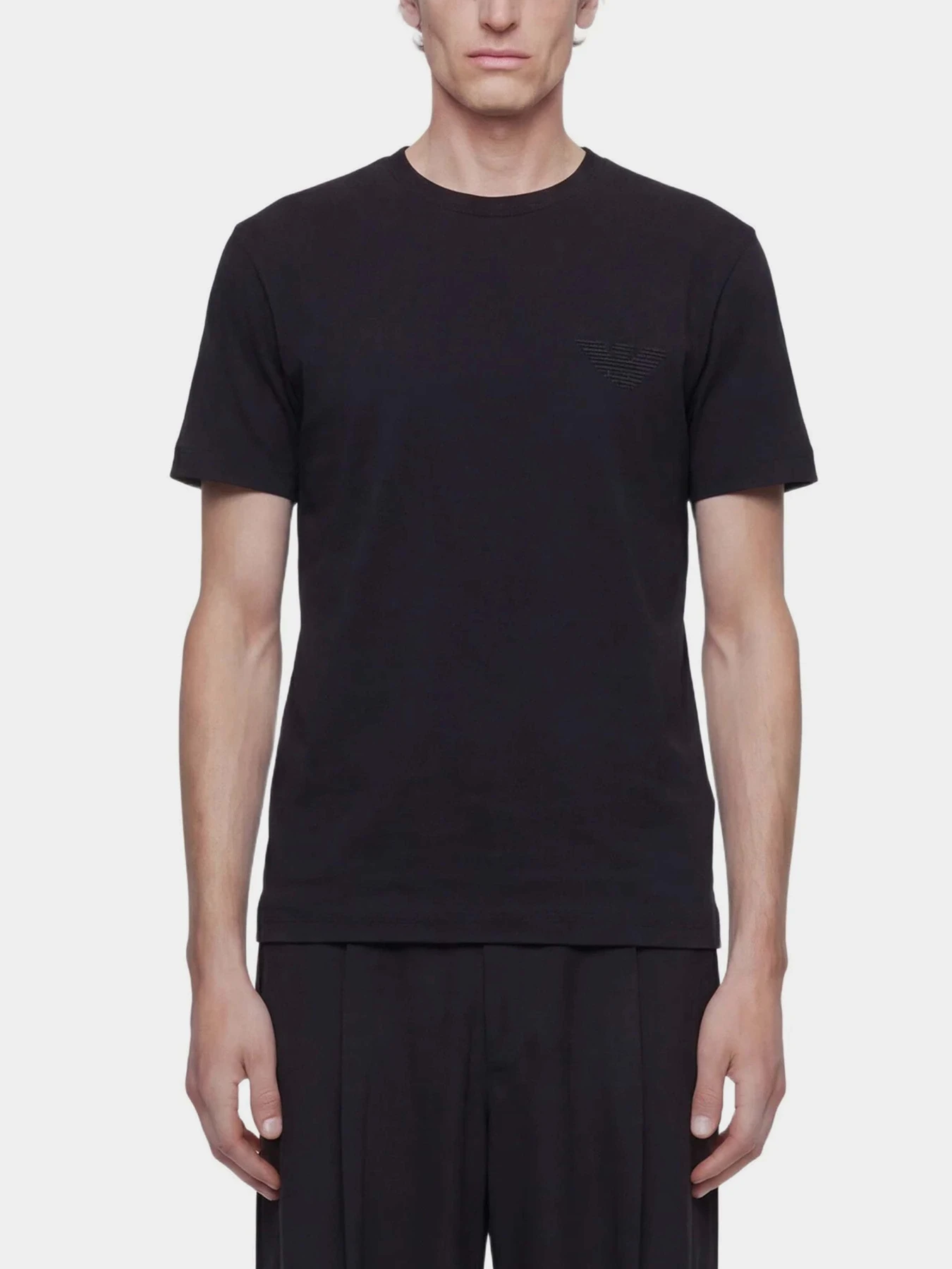 Футболки и поло Emporio Armani модель EM004911-AF13715-MC633 Футболки и поло Emporio Armani модель EM004911-AF13715-MC633 Фото
