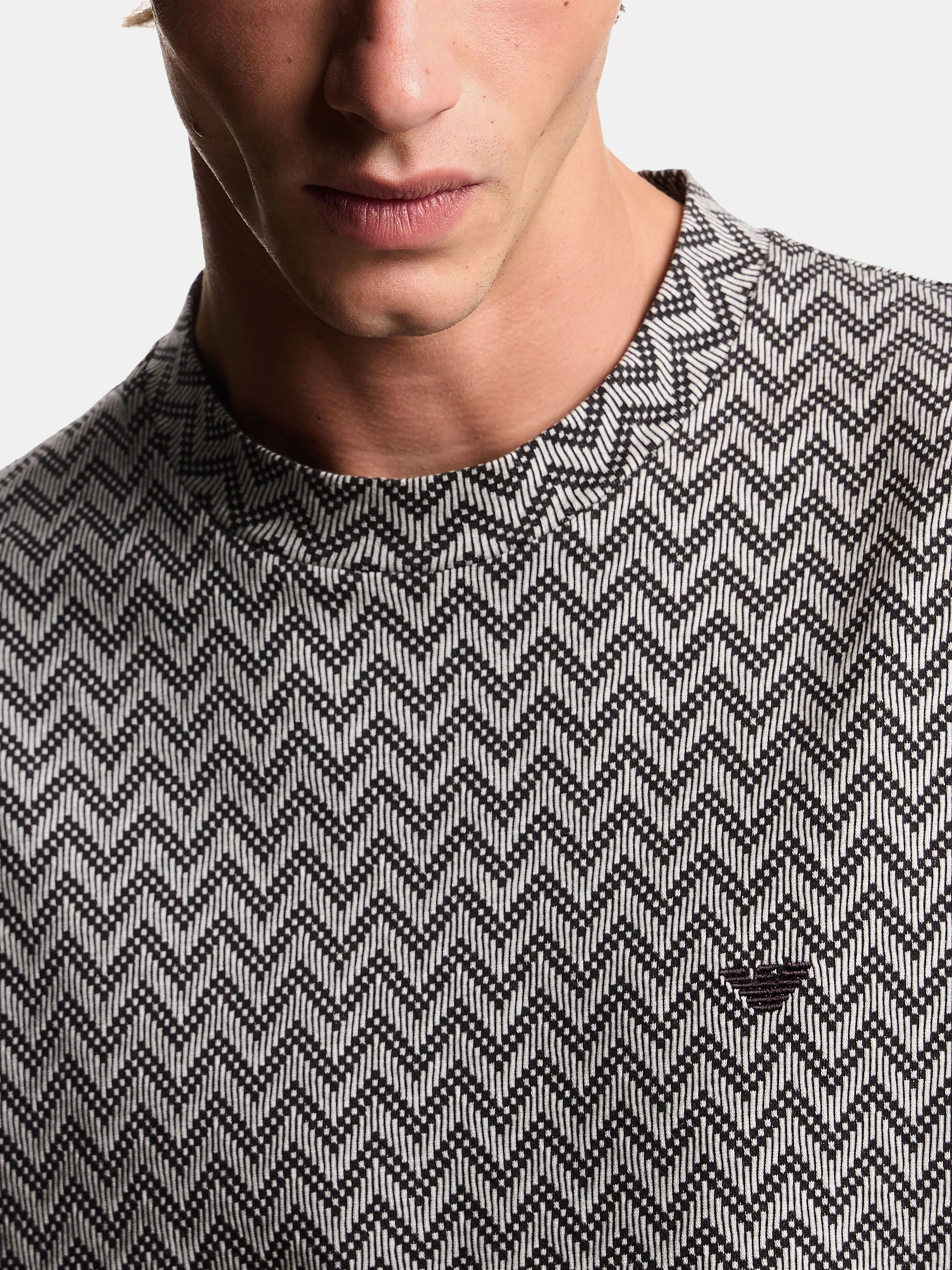 Футболки и поло Emporio Armani модель EM005546-AF25181-F1008 Футболки и поло Emporio Armani модель EM005546-AF25181-F1008 Фото