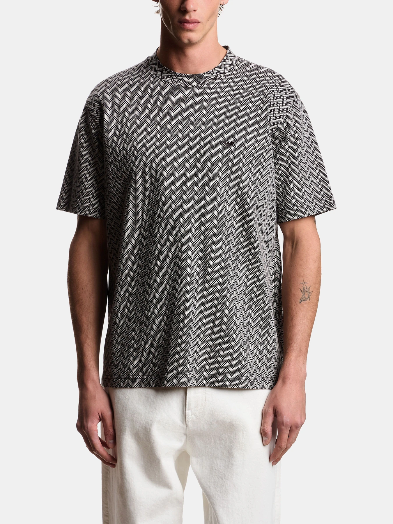Футболки и поло Emporio Armani модель EM005546-AF25181-F1008 Футболки и поло Emporio Armani модель EM005546-AF25181-F1008 Фото