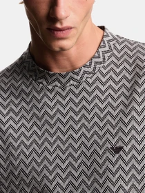 Футболки и поло Emporio Armani модель EM005546-AF25181-F1008 Фото