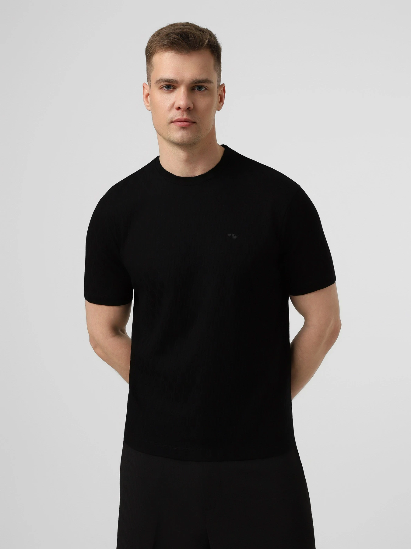 Футболки и поло Emporio Armani модель EM005699-AF25298-UC001 Футболки и поло Emporio Armani модель EM005699-AF25298-UC001 Фото