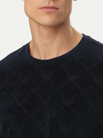Футболки и поло Emporio Armani модель EM000692-AF20449-FB058 Фото