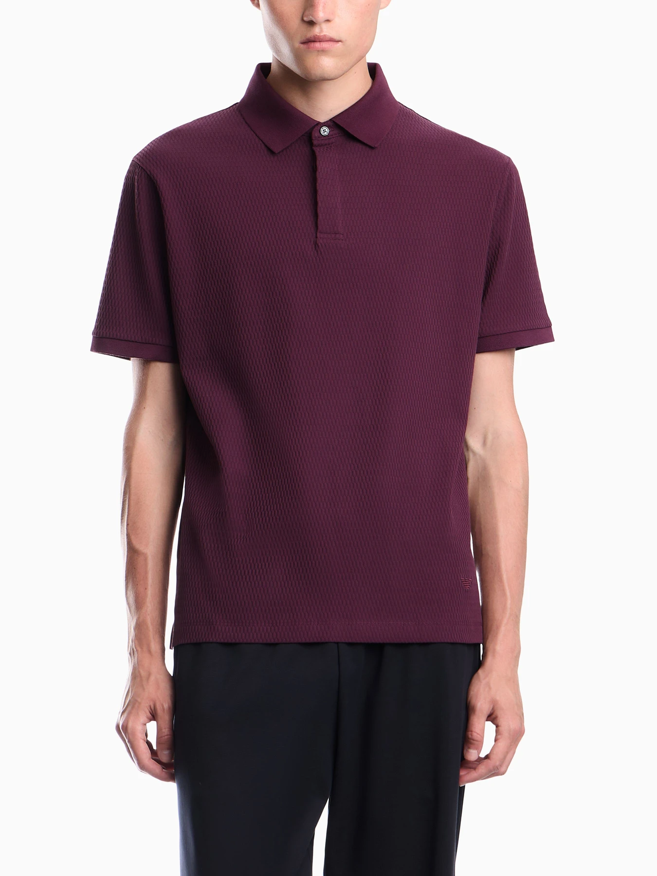 Футболки и поло Emporio Armani модель EM007039-AF10762-FA081 Футболки и поло Emporio Armani модель EM007039-AF10762-FA081 Фото