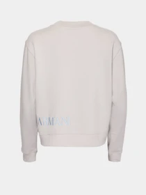 Худи и свитшоты Emporio Armani модель 6L2M7E-2J49Z-0602 Фото