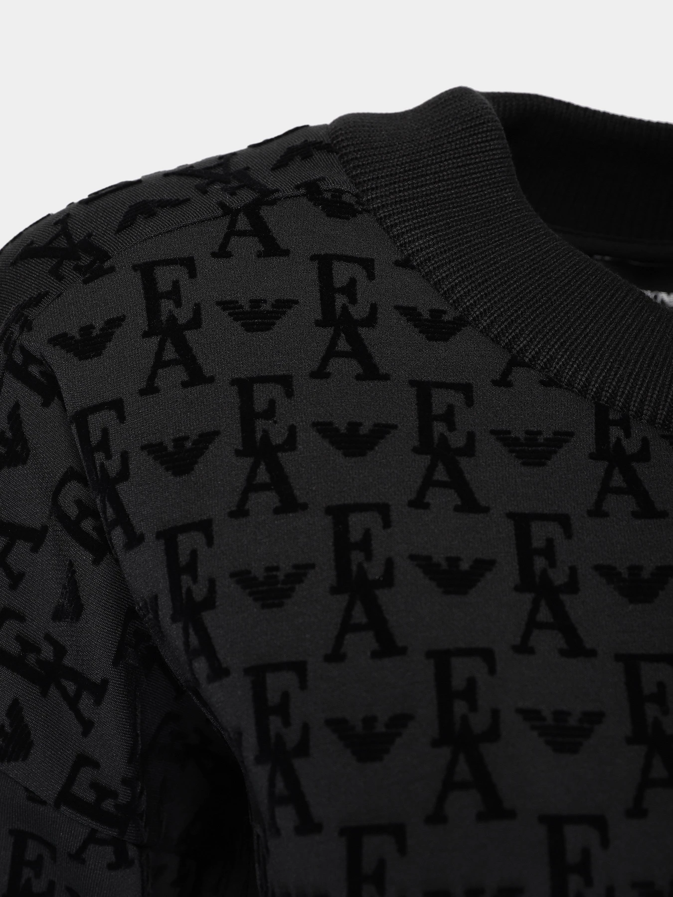 Худи и свитшоты Emporio Armani модель 6L2M7I-2JTCZ-0999 Фото