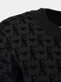 Худи и свитшоты Emporio Armani модель 6L2M7I-2JTCZ-0999 Фото