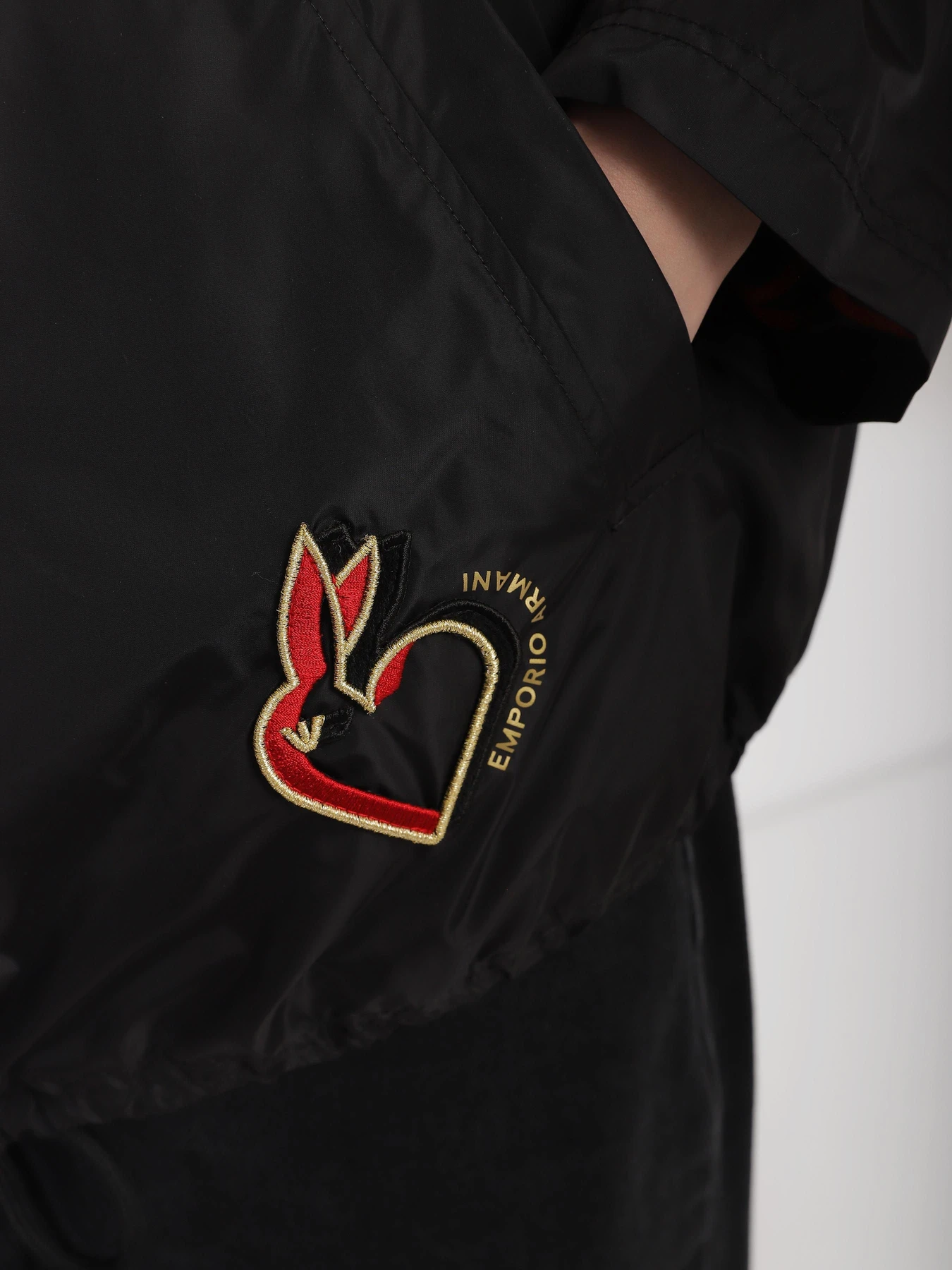 Куртки та дублянки Emporio Armani Chinese New Year модель 3R2B95-2NFAZ-0999 Куртки та дублянки Emporio Armani Chinese New Year модель 3R2B95-2NFAZ-0999 Фото