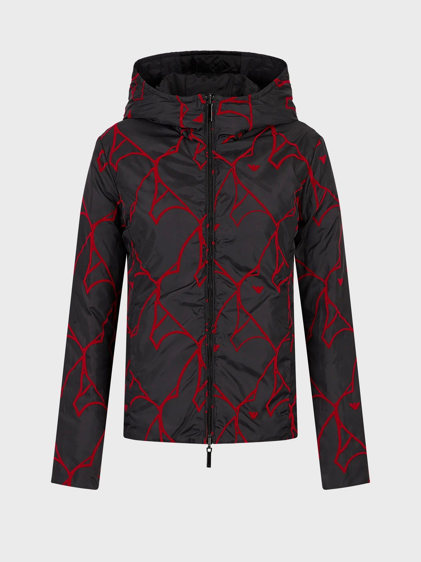 Куртки и дубленки Emporio Armani модель 3R2B96-2NFAZ-0999 Куртки и дубленки Emporio Armani модель 3R2B96-2NFAZ-0999 Фото