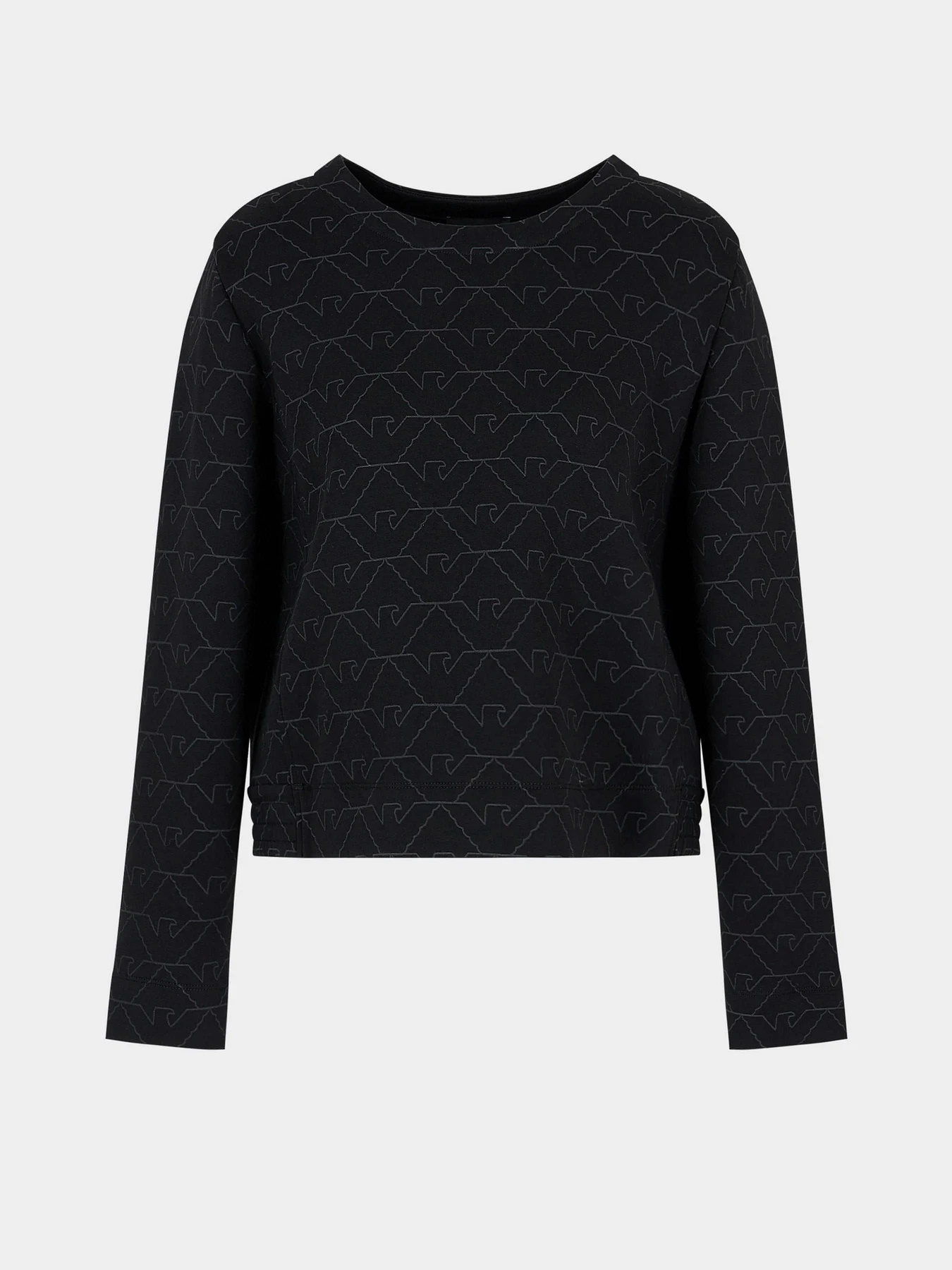 Худи и свитшоты Emporio Armani модель 3D2M6H-1JHSZ-F010 Фото