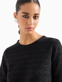 Худи и свитшоты Emporio Armani модель 3D2M6H-1JHSZ-F010 Фото