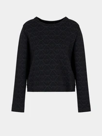Худи и свитшоты Emporio Armani модель 3D2M6H-1JHSZ-F010 Фото