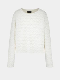 Худи и свитшоты Emporio Armani модель 3D2M6H-1JHSZ-F126 Фото