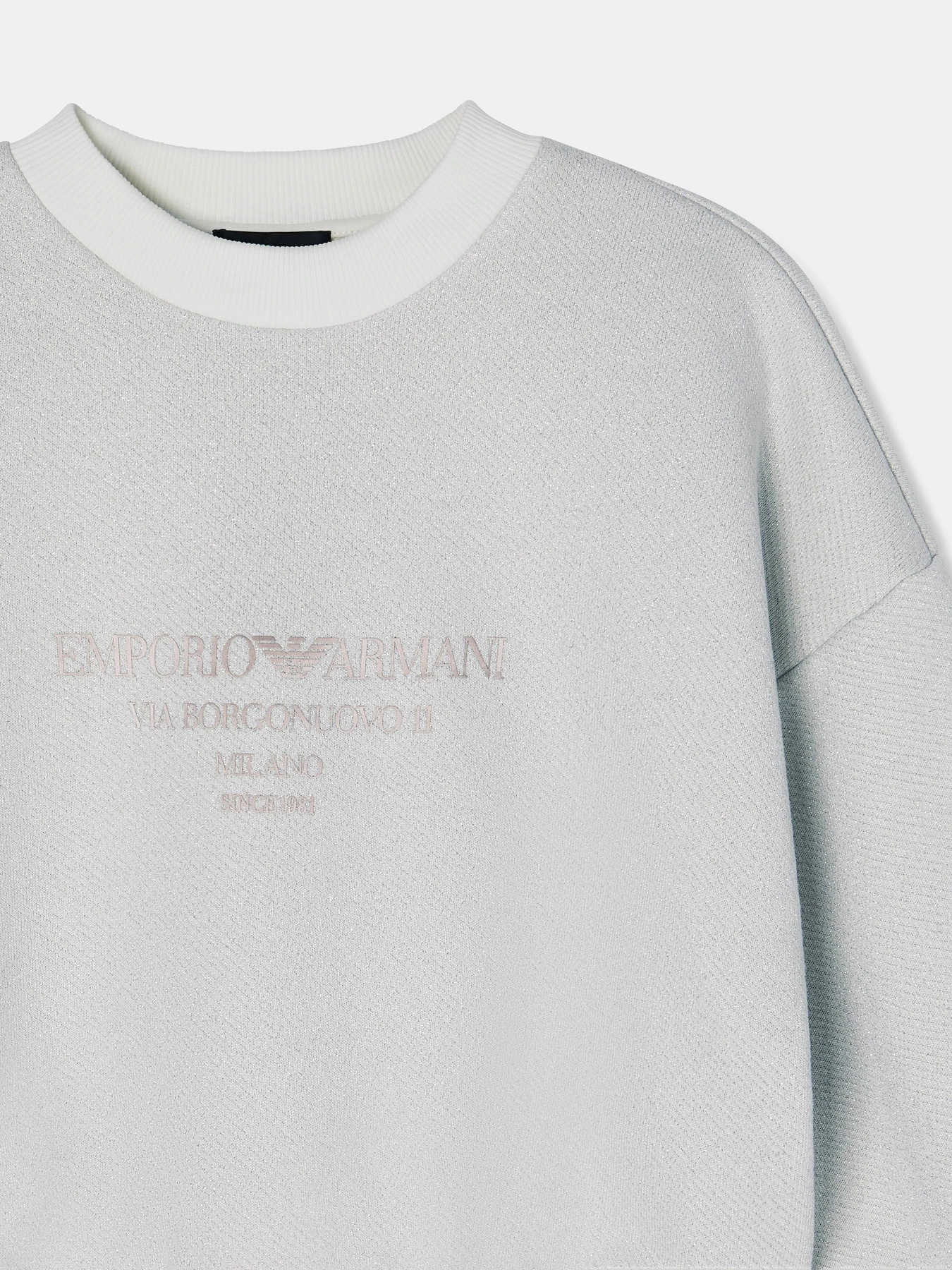 Худи и свитшоты Emporio Armani модель EW003508-AF21219-F0023 Худи и свитшоты Emporio Armani модель EW003508-AF21219-F0023 Фото
