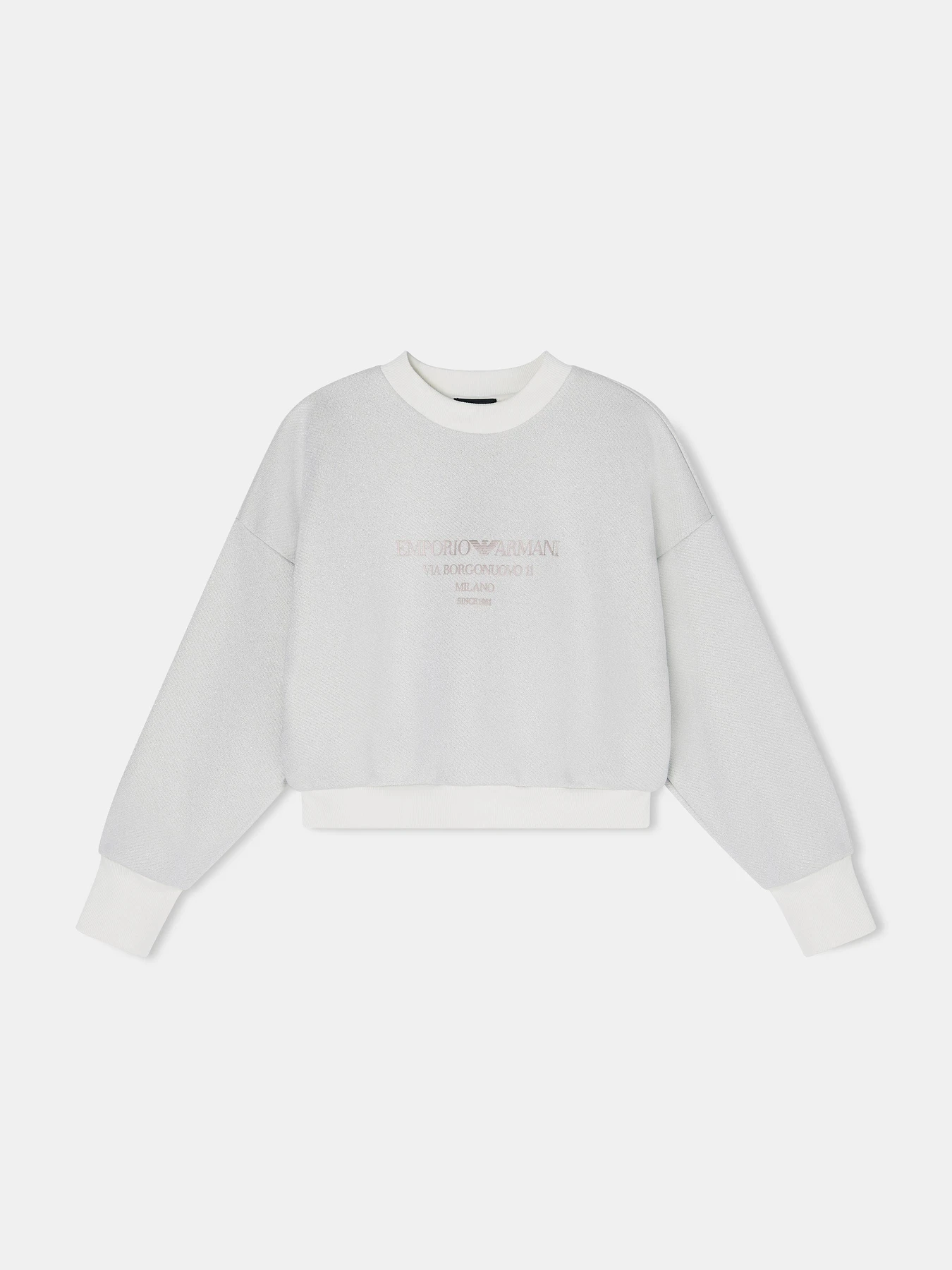 Худи и свитшоты Emporio Armani модель EW003508-AF21219-F0023 Худи и свитшоты Emporio Armani модель EW003508-AF21219-F0023 Фото