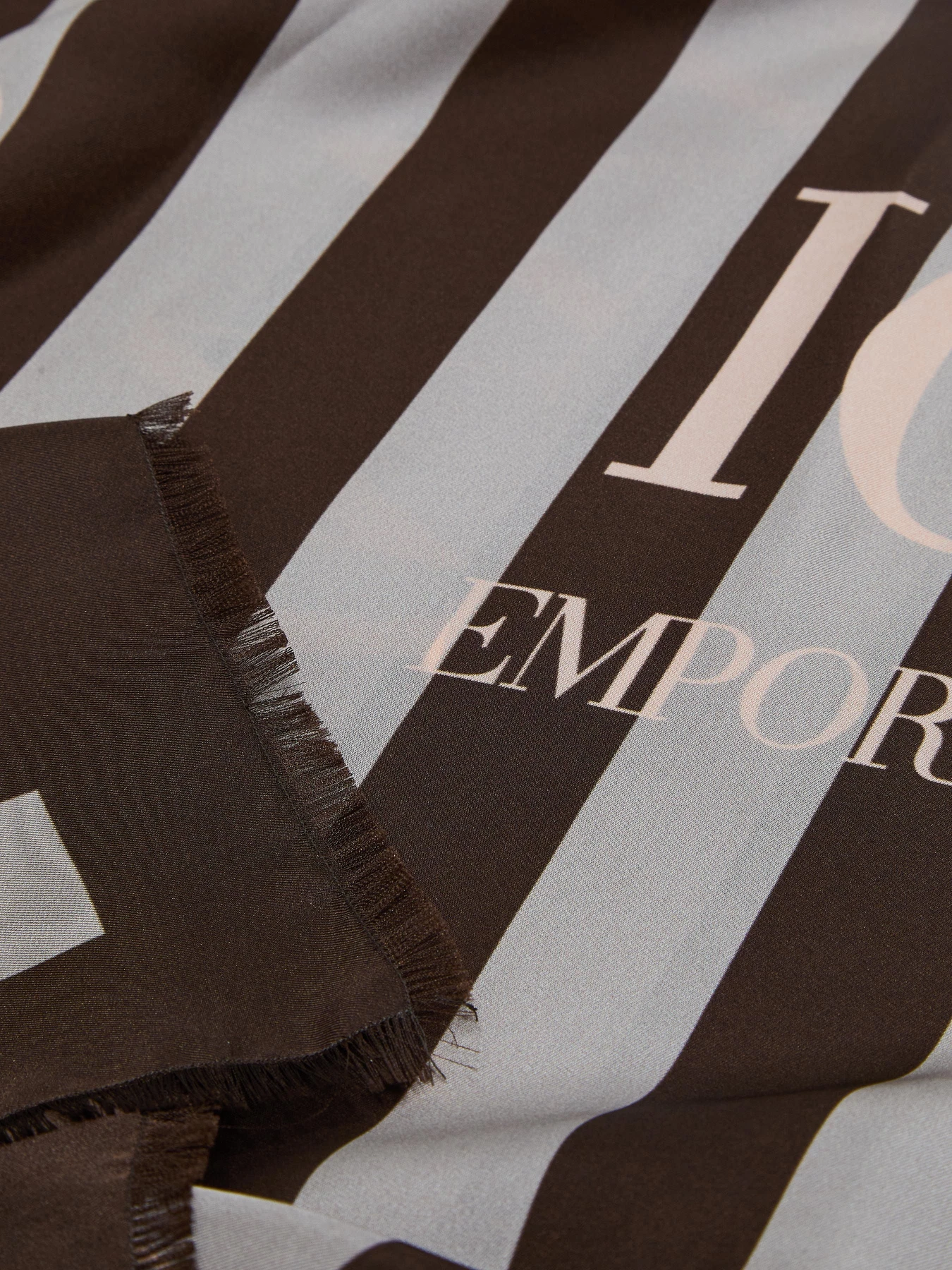 Шарфы и платки Emporio Armani модель EW004043-AF23574-F8092 Фото