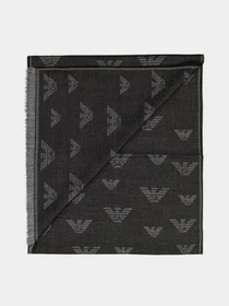 Шарфы и платки Emporio Armani модель 625048-0A348-00020 Фото
