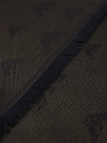 Шарфы и платки Emporio Armani модель 625048-0A348-00184 Фото