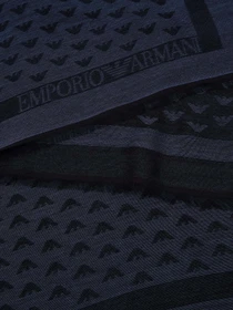Шарфы и платки Emporio Armani модель 635300-CC102-00134 Фото