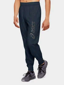 Шорти Asics Big Logo модель 2031A977-409 Фото