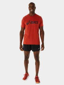 Футболки и поло Asics Big Logo модель 2031A978-603 Фото