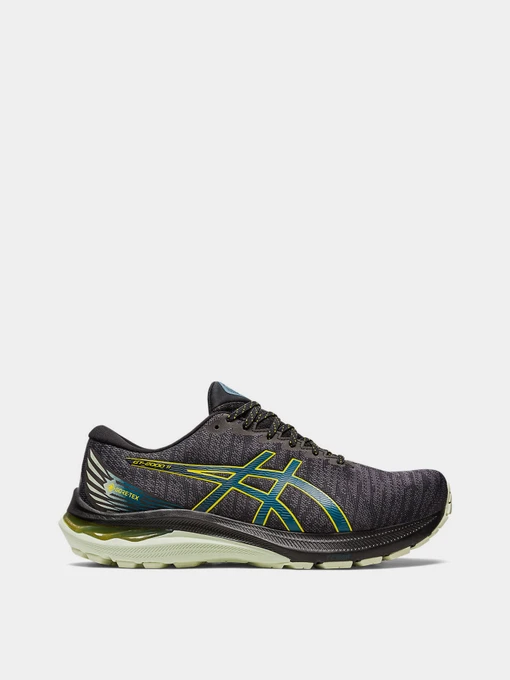 Кросівки Asics GT-2000 11 GTX модель 1011B477-002 Фото