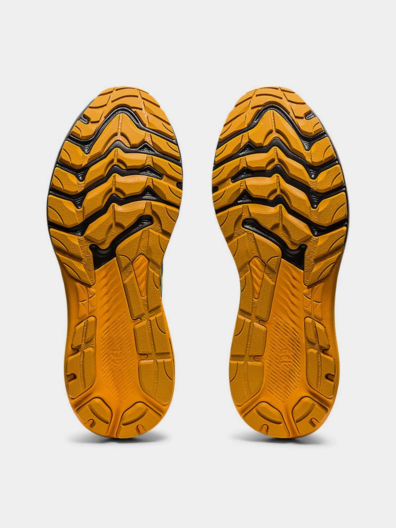 Кросівки Asics  GT-2000 11 TR модель 1011B574-750 Фото