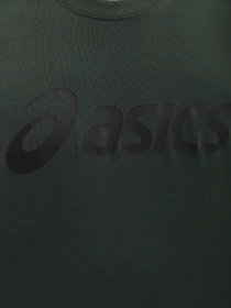 Футболки и поло Asics Big Logo модель 2031A978-306 Фото