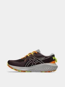 Кроссовки Asics Gel-Excite Trail 2 модель 1011B594-200 Фото