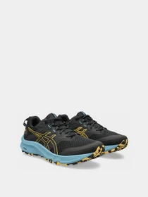 Кросівки Asics Trabuco Terra 2 модель 1011B607-001 Чорний Фото