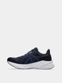 Кросівки Asics DYNABLAST 5 модель 1011B983-400 Фото