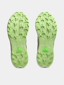 Кросівки Asics Fuji Lite 6 модель 1011C086-300 Фото
