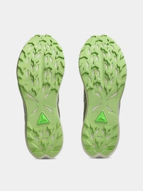 Кросівки Asics Fuji Lite 6 модель 1011C086-300 Фото