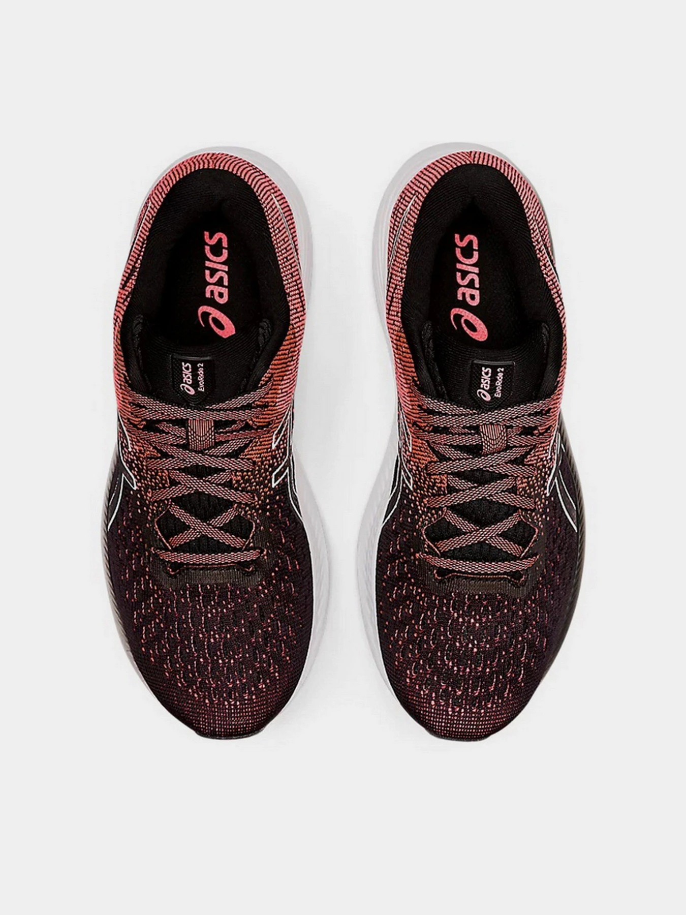 Кросівки Asics Evoride 2 модель 1012A891-003 Кросівки Asics Evoride 2 модель 1012A891-003 Фото