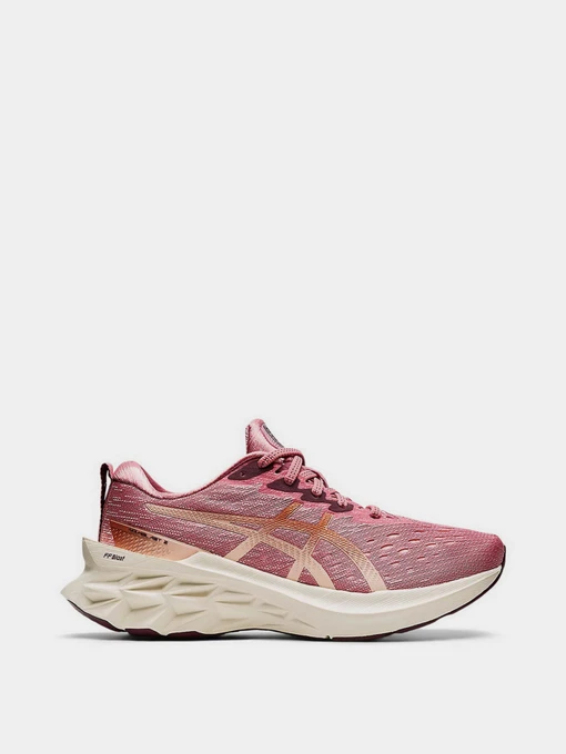 Кросівки Asics Novablast 2 модель 1012B049-700 Фото