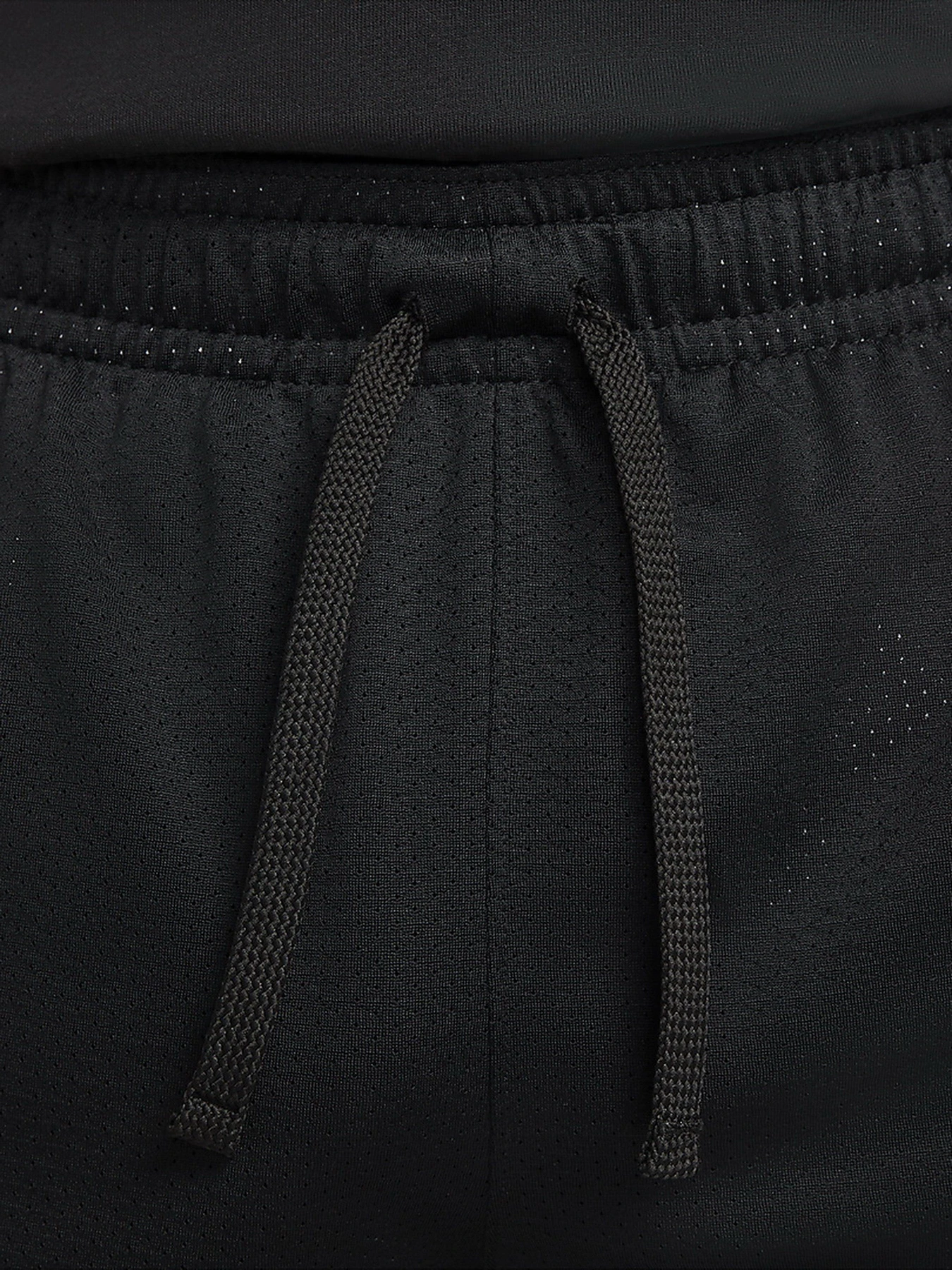 Шорты NIKE Jordan Dri-FIT Air модель DH9077-010 Шорты NIKE Jordan Dri-FIT Air модель DH9077-010 Фото