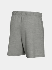 Шорты NIKE Team Club Dri-fit модель DM4237-063 Фото