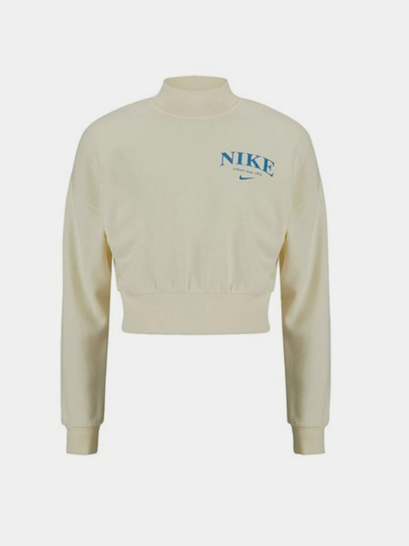Худи и свитшоты NIKE Essentials Fleece модель DQ5385-113 Фото
