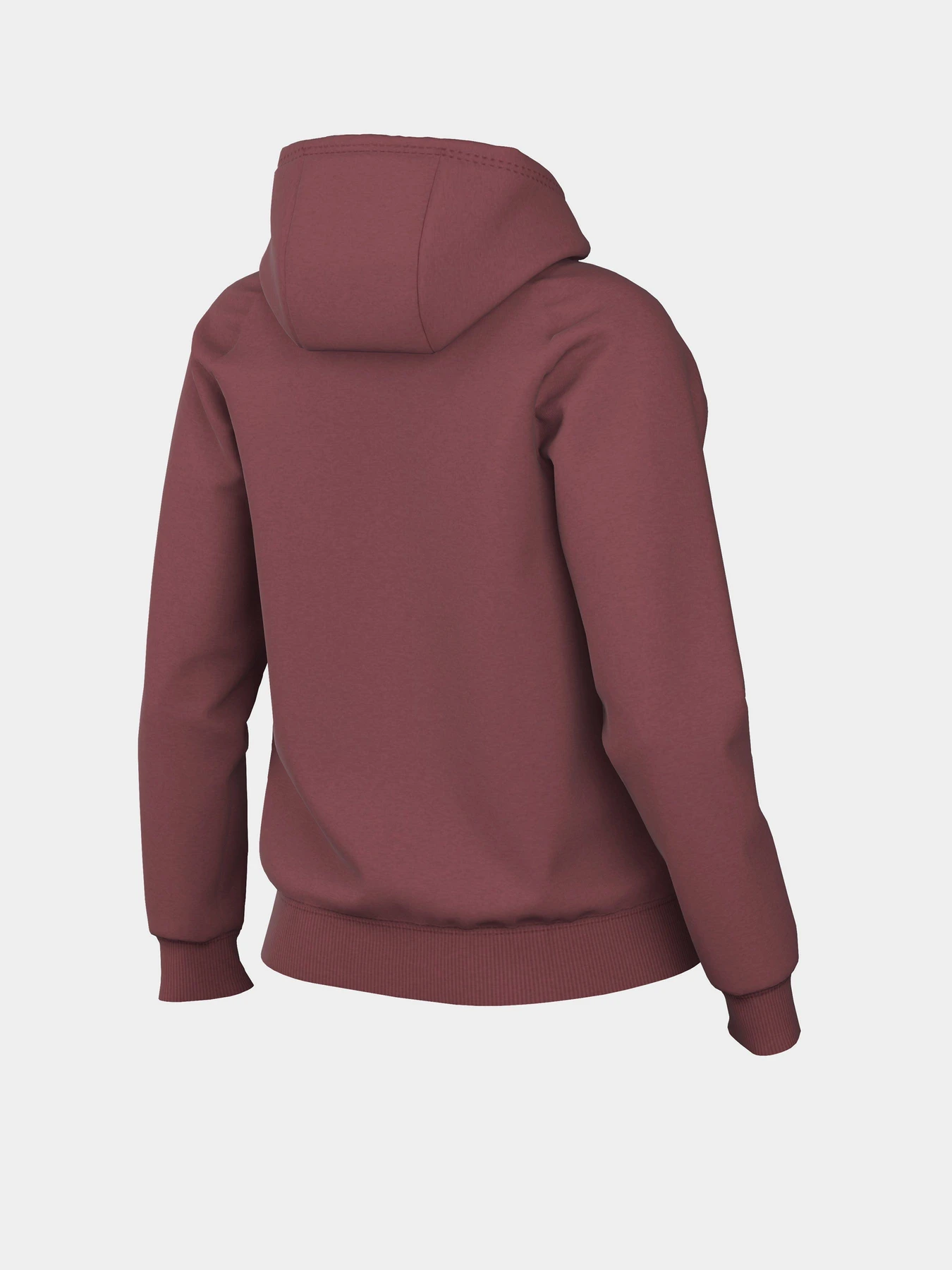 Худи и свитшоты NIKE Sportswear Essentials модель DX2316-691 Худи и свитшоты NIKE Sportswear Essentials модель DX2316-691 Фото