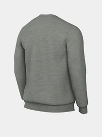 Худі та світшоти NIKE Sportswear Club Fleece Graphic Crew модель DQ4912-063 Фото