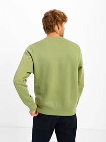 Худі та світшоти NIKE Sportswear Club Fleece Graphic Crew модель DQ4912-334 Фото