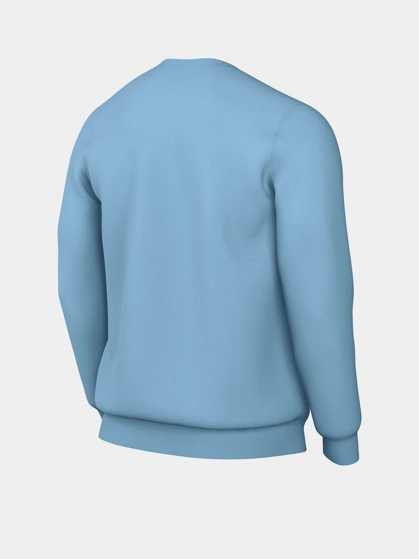 Худі та світшоти NIKE Sportswear Club Fleece Graphic Crew модель DQ4912-499 Худі та світшоти NIKE Sportswear Club Fleece Graphic Crew модель DQ4912-499 Фото